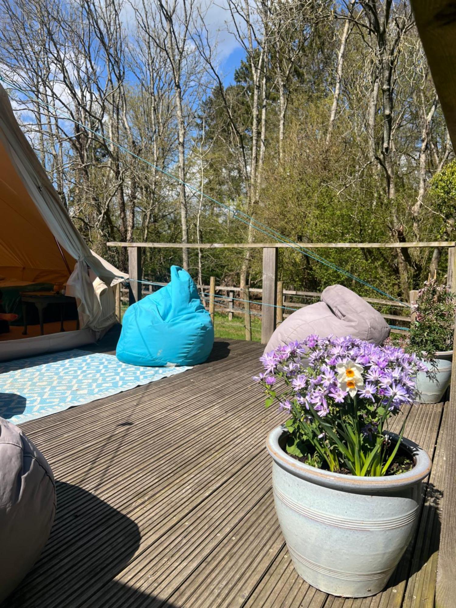 Swallows Oast Glamping 塞得利斯坎贝 外观 照片